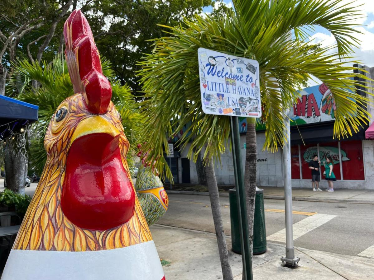 Stunning Little Havana Suites Close To Airport, Calle Ocho, Brickell, Wynwood And The Beaches - Free Parking Miami Eksteriør billede